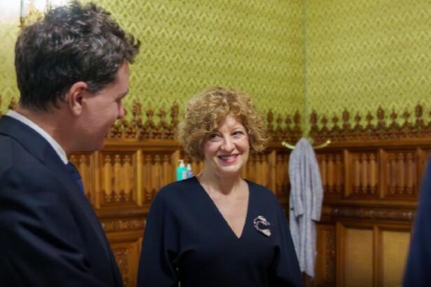 oana gheorghiu atacata dur de un fost ministru usr nu va face nicio schimbare actualul guvern nu vine cu nimic nou 6925a15996ac1