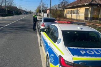 olt actiune in sistem releu pe dn6 69272e7bc7564