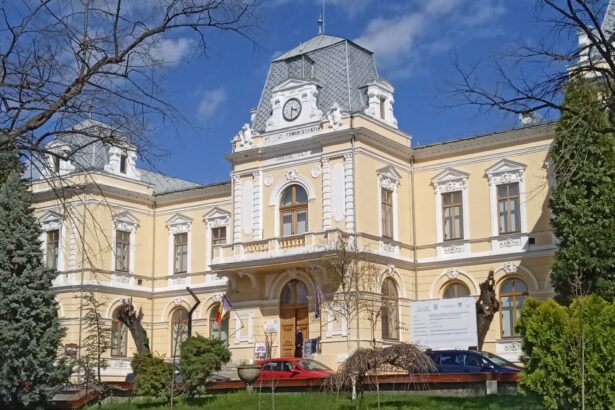 regal cultural la muzeul judetean olt lansare de carte si expozitie de arta plastica 6925969897563