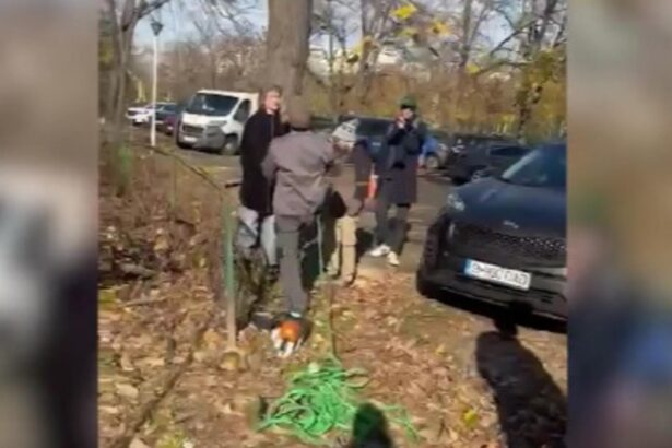 scandal in sectorul 3 din cauza taierilor abuzive proteste dupa taierile arborilor 6925e070626ff