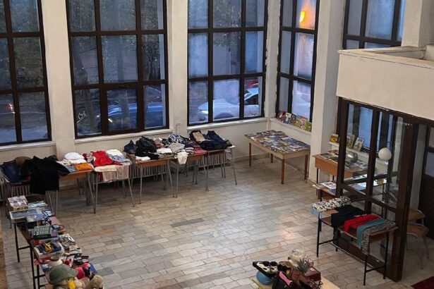 slatina targ caritabil pentru eleva alexandra pitur 69144c624038c