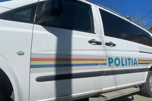 trei frati din izvoarele retinuti dupa ce au batut un consatean si i au distrus masina 6911b3e75af62