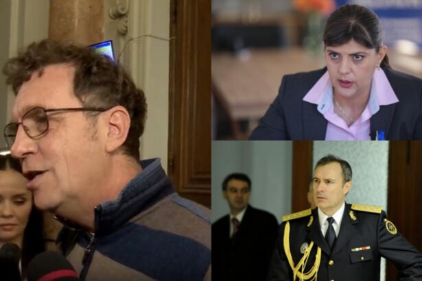 tupeu urias din partea gastii care a distrus romania avocatul lui coldea cererea de azi nu e problema spatiului public video 69247fb2d2256