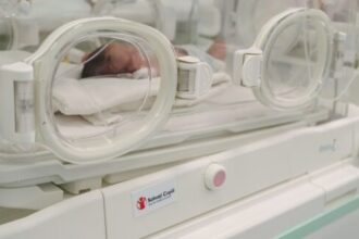 vesti bune in demografia oltului natalitatea a crescut cu 169 in vreme ce mortalitatea a scazut cu 238 690f8cb579818