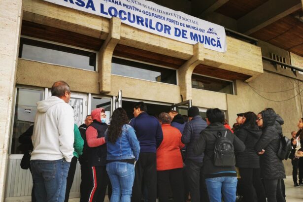 14 persoane aflate in cautrea unui loc de munca pot urma in ianuarie un curs de formare profesionala 69426d1c64cd6