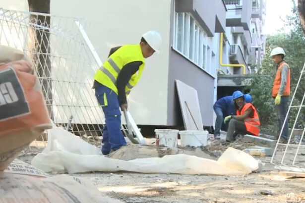 90 000 de noi lucratori straini vor fi admisi anul viitor pe piata fortei de munca din romania domeniile in care vor activa acestia 69542b123e377