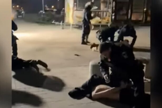 a doua zi de craciun cu pumni si scandal in mamaia sase tineri s au incaierat si doar interventia jandarmilor i a putut linisti video 694e6a8a55be3