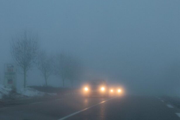 alerta de la politie ceata densa in aproape toata tara vizibilitatea este sub 50 de metri pe sosele 6946cf4cbdd21