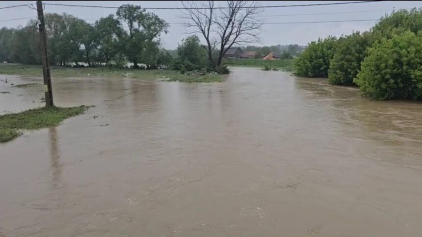 alerta hidrologica cod galben de inundatii pe rauri din 3 judete din sudul tarii cat de mare este pericolul 692ebc1795250