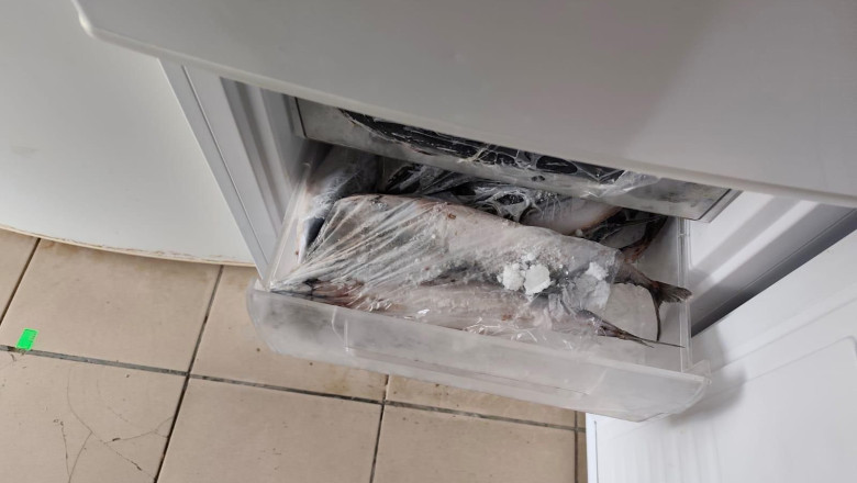 anpc a facut controale in zone turistice si a dat amenzi de 16 milioane de lei ce nereguli au fost descoperite 69498921df509