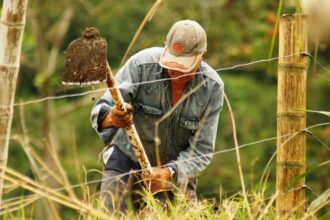 bani europeni pentru fermierii romani sesiune de finantare de 151 milioane euro din ianuarie 2026 69544557129f6