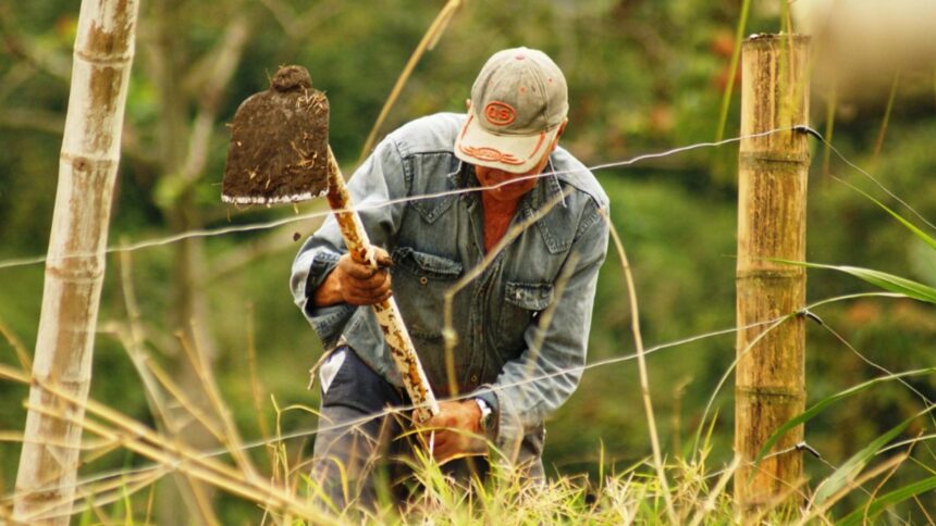 bani europeni pentru fermierii romani sesiune de finantare de 151 milioane euro din ianuarie 2026 69544557129f6