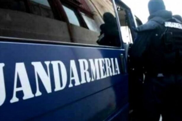 barbat salvat de jandarmi dupa ce a cazut intr un lac din craiova era urmarit de caini 69525c8d1311c