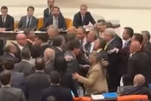 bataie in parlamentul turciei lovituri imbranceli si parlamentari bruscati in timpul sedintei video 6948f21dcfcfe