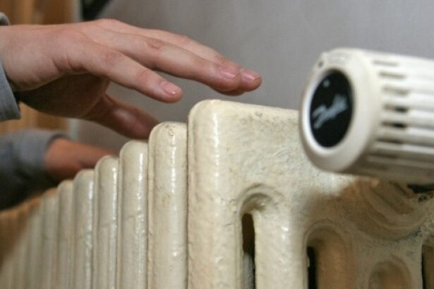 caldura revine la motru dar doar temporar primarul anunta stoc de carbune pana pe 8 decembrie 6932c9278be12