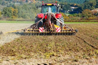 cat a ajuns sa coste un hectar de teren arabil in romania diferente uriase fata de alte state din uniunea europeana 694a808a65162