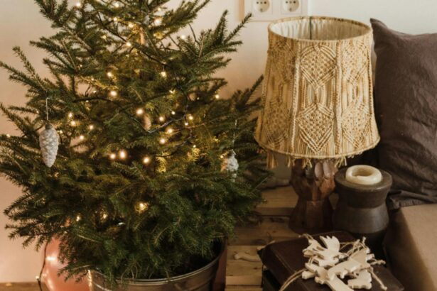 ce trebuie sa faci cu bradul natural de craciun ca sa reziste mai mult trucul pe care trebuie sa l cunosti 693673d66e5f6