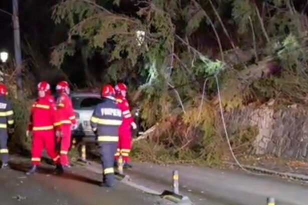 cod rosu de vant autoritatile sunt in alerta panica pe sosele 694f86155349c