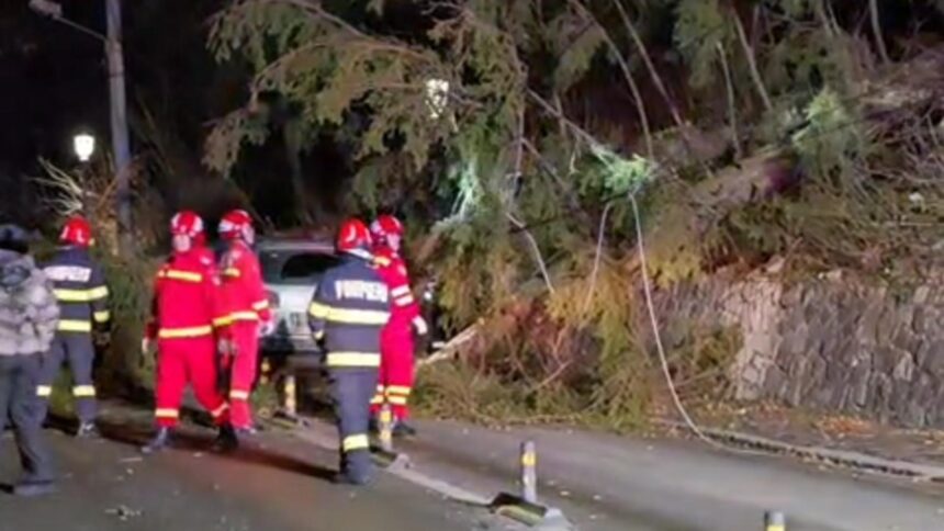 cod rosu de vant autoritatile sunt in alerta panica pe sosele 694f86155349c