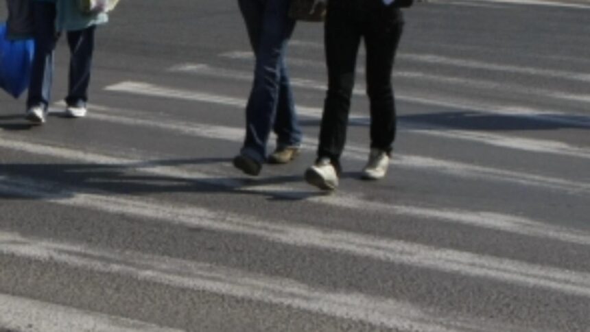 codul rutier 2025 mit spulberat fuga pe trecerea de pietoni nu este ilegala video 692ef922d7459