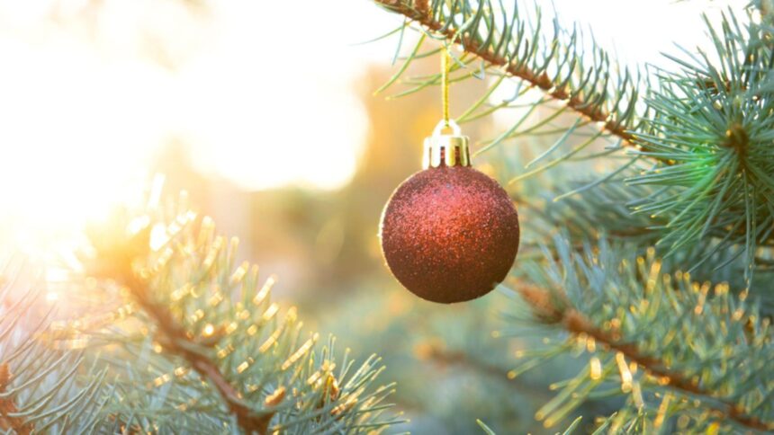 cum va fi vremea de craciun si revelion anuntul anm 694122fb357e5