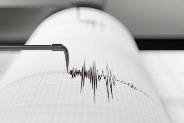 cutremur intr o zona atipica din romania ce magnitudine a avut 694b92d135fb6