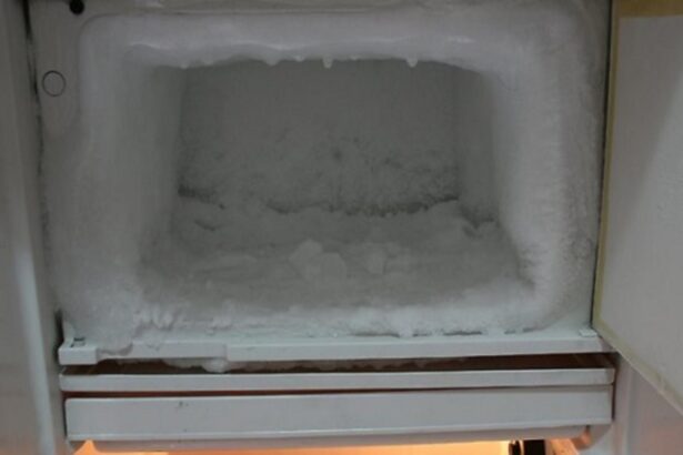 de ce ingheata frigiderul in interior iarna solutiile simple si eficiente pe care toate gospodinele trebuie sa le stie 6948d14aebb11