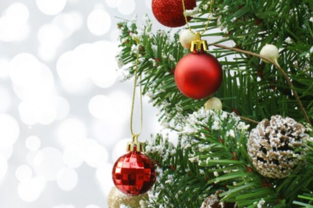 de unde a aparut originea bradului de craciun 6932a2766f82c