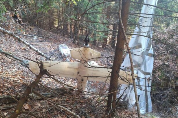 drona din arges si razboiul din ucraina ce spune sindicatul europol despre legatura dintre cele doua 694801acbc75c