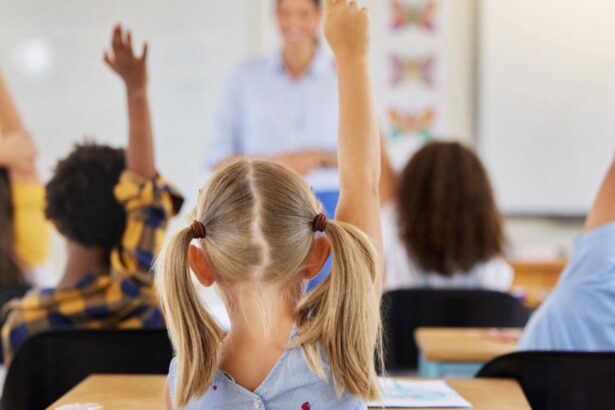 educatie romaneasca 15 dintre profesorii care au scris programa la romana pentru liceu sunt si in comisia de avizare 69410b8c1ae7d