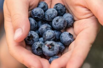 fructele care imbunatatesc vederea ajuta la cresterea acuitatii vizuale 693953bcd4de1