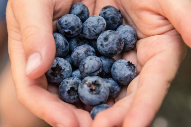 fructele care imbunatatesc vederea ajuta la cresterea acuitatii vizuale 693953bcd4de1