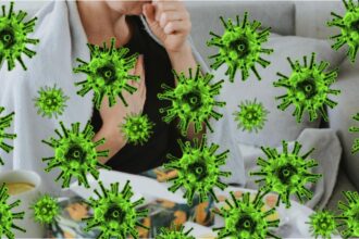 gripa face ravagii in romania insp doua noi decese au fost inregistrate in ultima saptamana 6955401ebe8d2