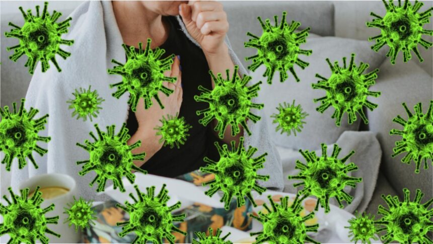 gripa face ravagii in romania insp doua noi decese au fost inregistrate in ultima saptamana 6955401ebe8d2