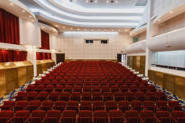 guvernul a alocat peste 188 de milioane de lei pentru teatre opere si filarmonici din 34 de judete 6942f1a0ed286