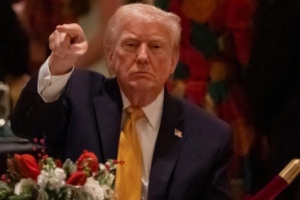 in plin scandal al dosarului epstein trump ii ataca pe cei care l au adorat pe controversatul finantator si apoi l au abandonat ca pe un caine 694e7d3d36c78