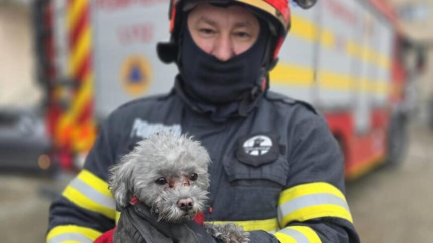 incendiu intr un bloc din giurgiu zeci de locatari evacuati in a doua zi de craciun 694e9ce16e1d3