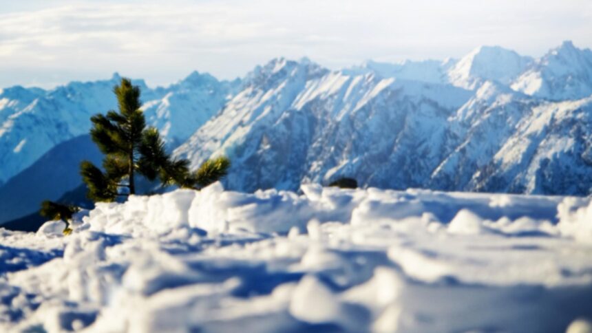 jandarmii montani din buzau au salvat un barbat de 72 de ani gasit descult in zapada video 694c2798d9b38
