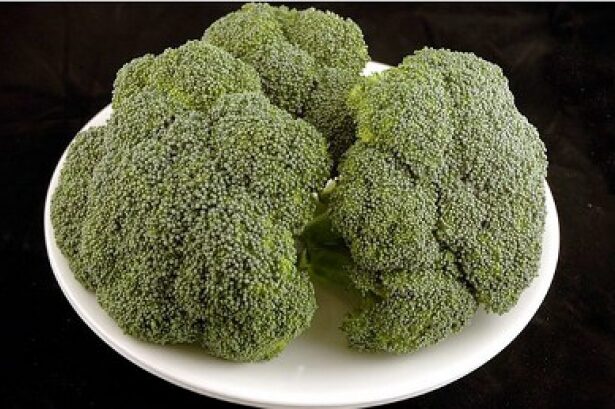 leguma care sustine echilibrul hormonal ce arata noile studii 695255bdd0ec9