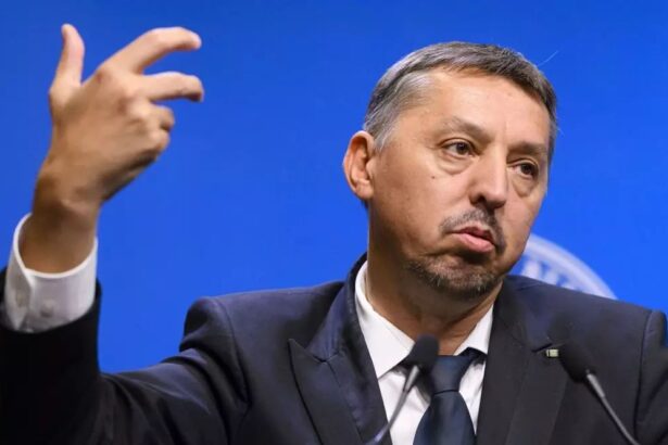 ministrul educatiei daniel david a demisionat bugetul ministerului pentru anul viitor motivul plecarii 6953c8fb01964