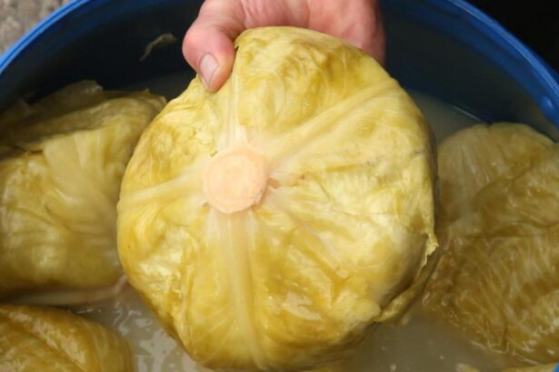 motivul pentru care nu se acreste varza greseala pe care majoritatea gospodinelor o fac 692fdc538313c