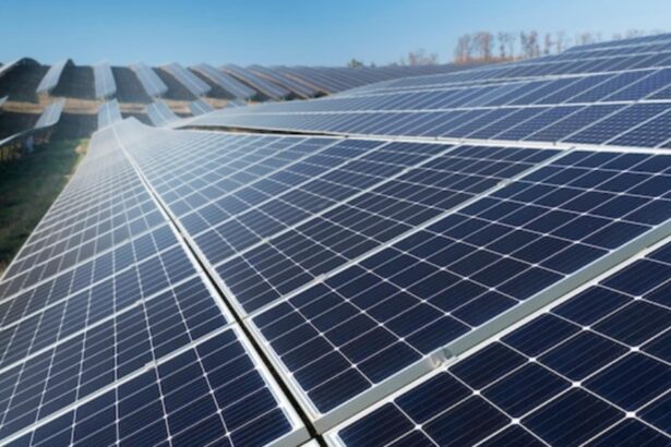 panouri fotovoltaice la toate unitatile de invatamant din sectorul 3 6942a22e537a9