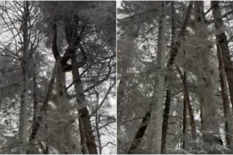 pericol urias pe traseele montane avertisemntul salvamontistilor pentru turisti video 69526022ea675