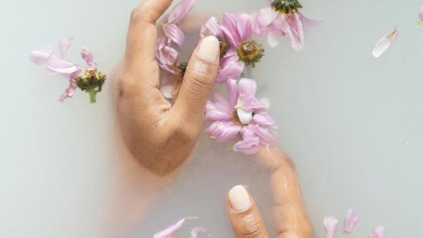 plantele care alunga oboseala si stresul cum le poti folosi in momentele de epuizare pentru a te revigora 6941331a7d69c