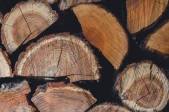 pretul lemnelor de foc in 2025 cu cat vinde romsilva metrul cub si unde sunt cele mai mici preturi 6946d53fcaa56