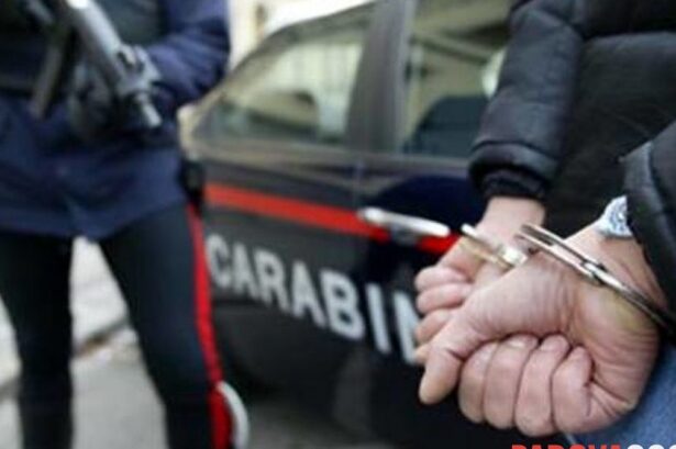 roman condamnat la 7 ani pentru evaziune prins dupa 5 ani la napoli sotia sa consilier local la sibiu 694d39cbd06ea