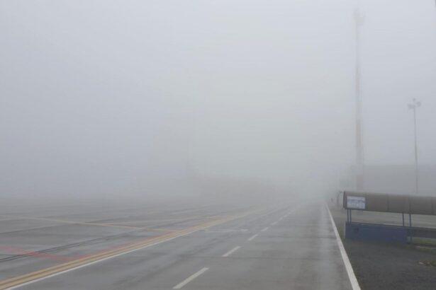 sapte judete sub cod galben de ceata anm a emis mai multe avertizari nowcasting 694a426c200d8