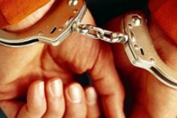 sapte persoane urmarite international aduse in tara de politisti printre ele si capcaunul din iasi 6954e709d2095