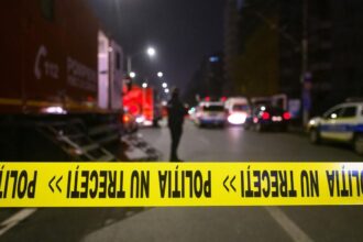 si a ucis mama ajutata de cea mai buna prietena apoi a plecat in dubai cum a fost planificata cumplita crima 69523f5ac2064