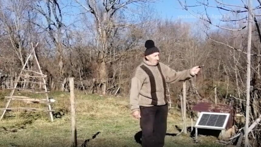 situatia trista din romania satele din munti raman fara animale 69451cafb8cd2